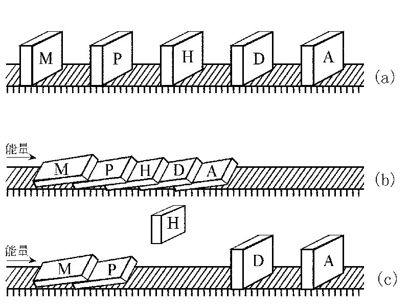 多米诺骨牌理论.jpg 多米诺骨牌理论.jpg