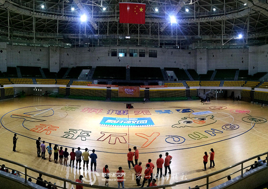 梦想启航，青春飞young—新东方在线校园大使多米诺团队大挑战