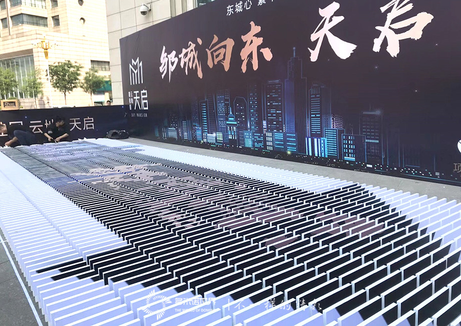 邹城向东-多米诺天启未来