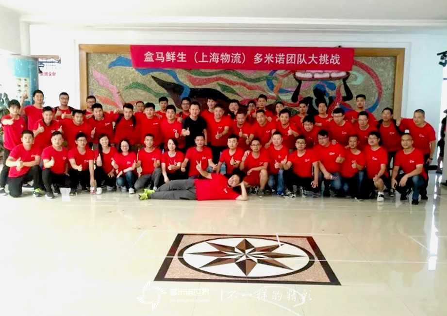 盒马鲜生（上海物流）多米诺团队大挑战