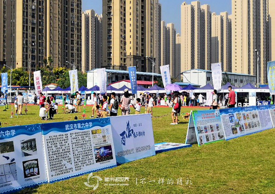 多米诺骨牌启动2018武汉全国科普日活动