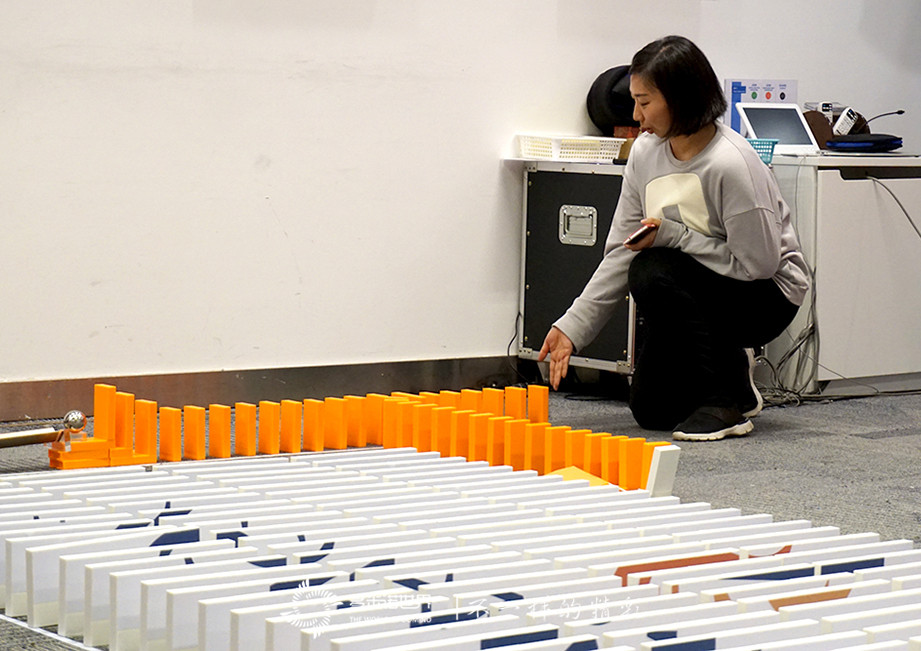 协作、团队、共赢-诺华制药TMO多米诺团队大挑战