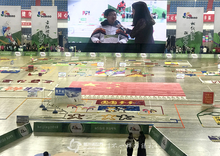 2018年迎冬奥青少年多米诺大赛  暨“我心中的冬奥吉祥物”多米诺创意大赛
