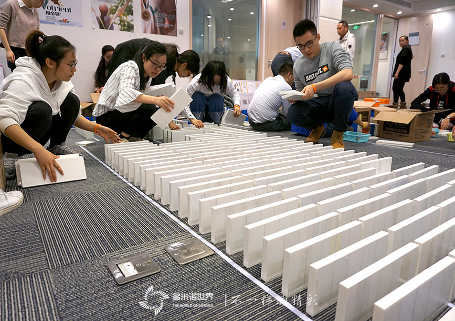 协作、团队、共赢-诺华制药TMO多米诺团队大挑战