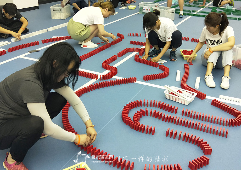西门子多米诺团队大挑战