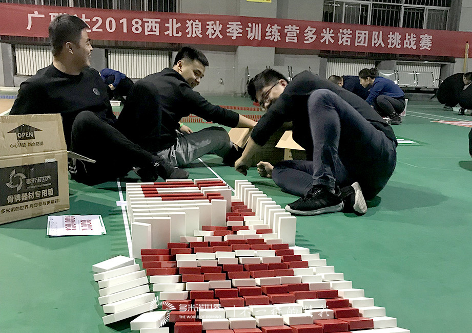 广联达2018西北狼秋季训练营多米诺团队大挑战