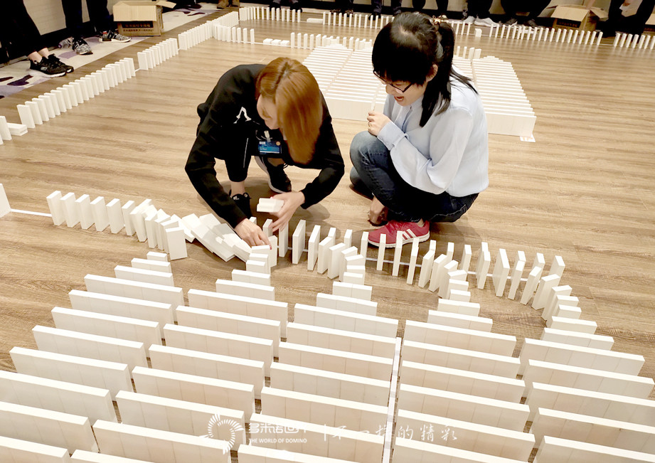 “聚势启航，同驱未来”-西门子LDA团队多米诺大挑战   