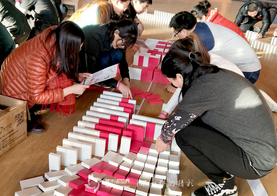 安科光电多米诺团队大挑战