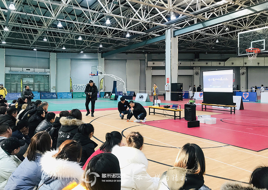 “同心聚力、共赢未来”2020颇尔年会多米诺团队大挑战