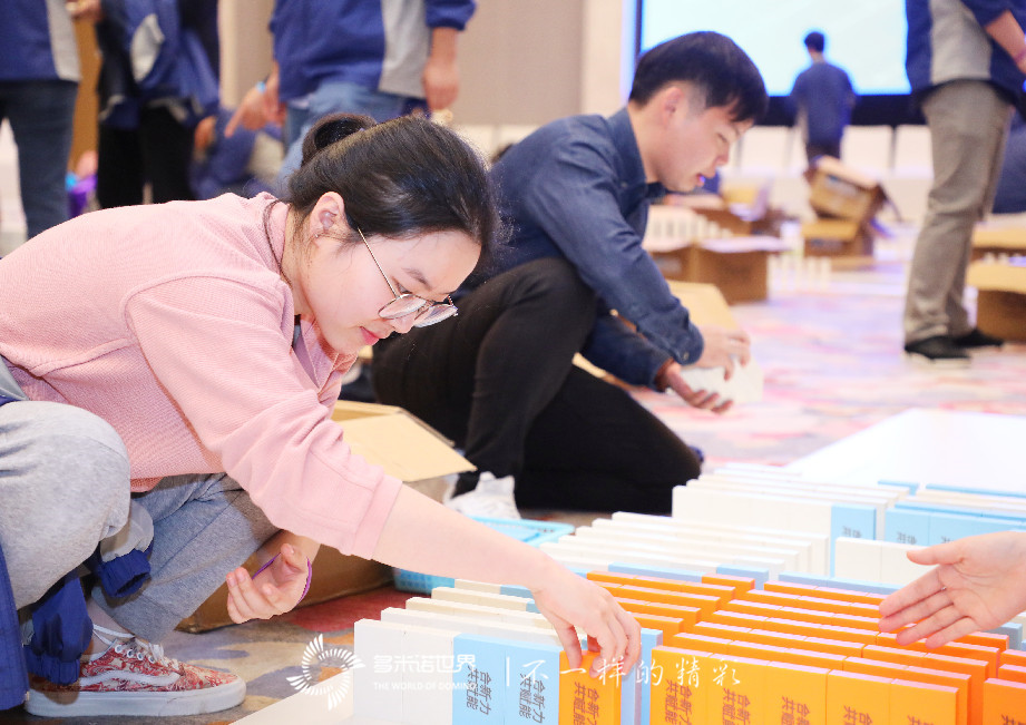 ADI中国团建多米诺大挑战
