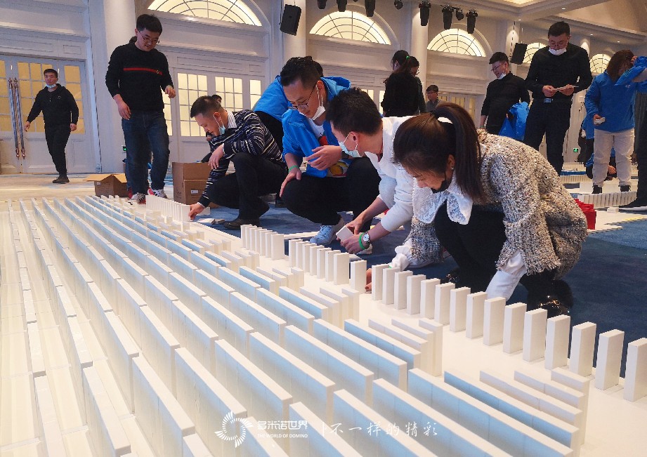 承载梦想，艾多美（中国）团队共创多米诺