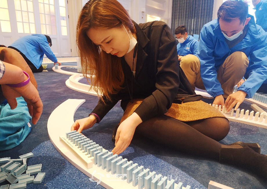 承载梦想，艾多美（中国）团队共创多米诺