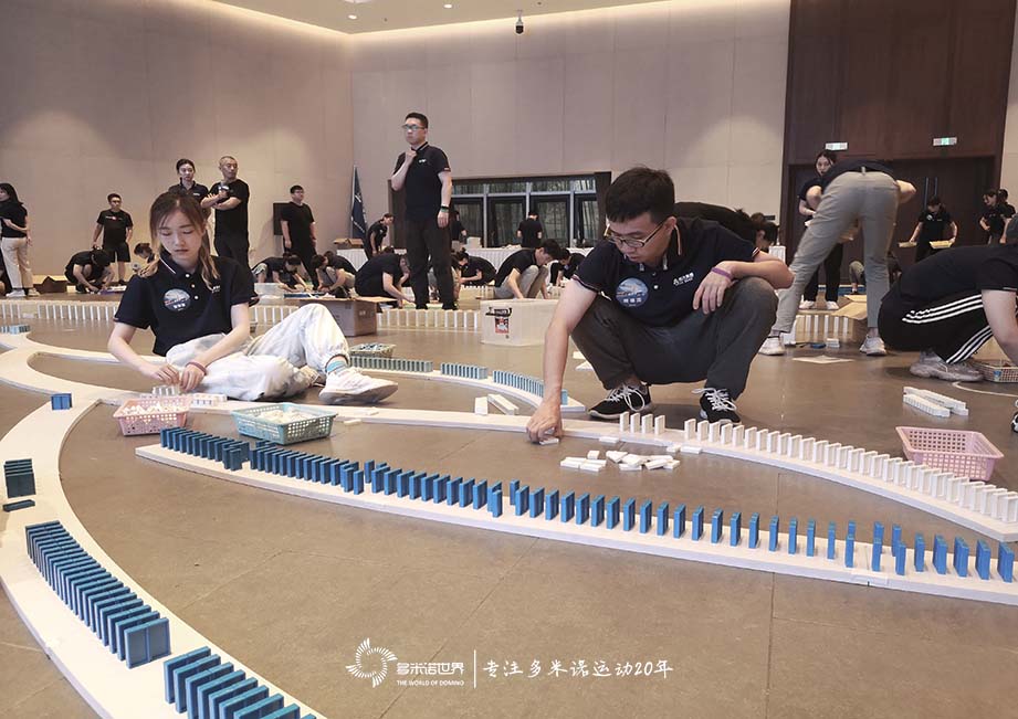 多米诺助力远洋扬帆生训练营再启航