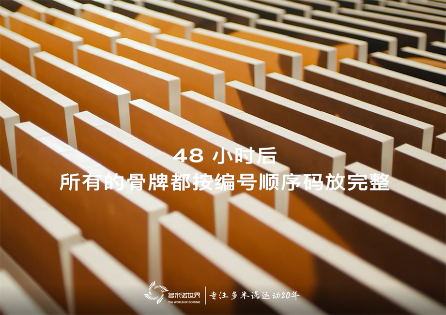 “沙漠多米诺”致敬RS Q e-tron与奥迪车队