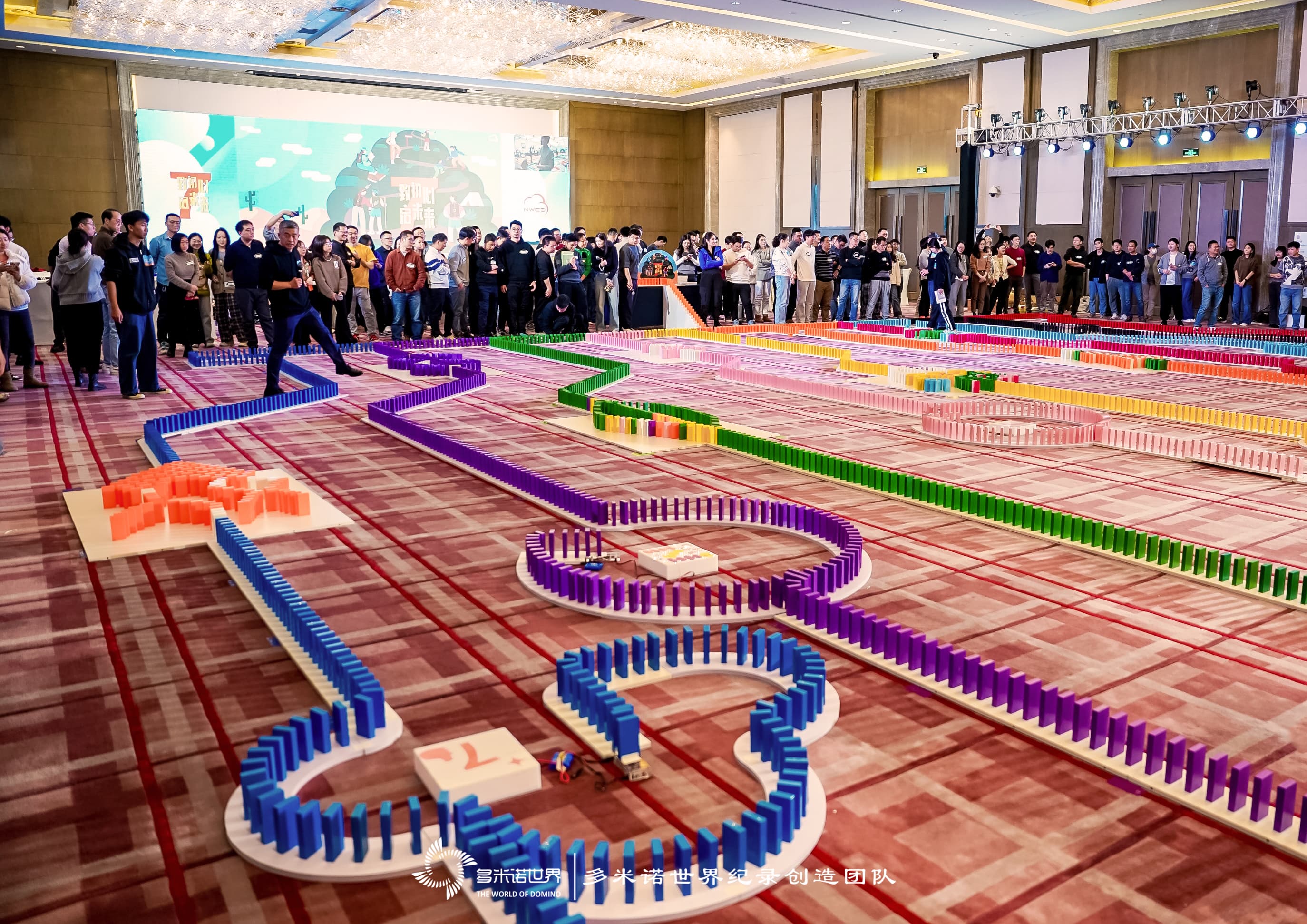 “致初心，启未来”—— 西云数据多米诺团队共创